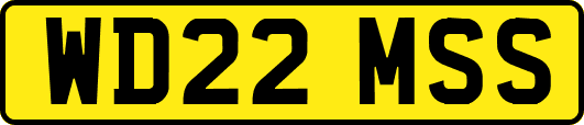 WD22MSS