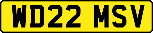 WD22MSV