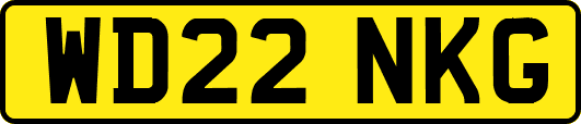 WD22NKG