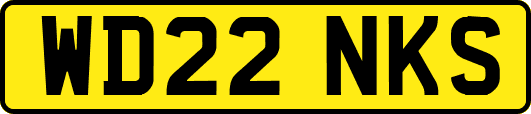 WD22NKS