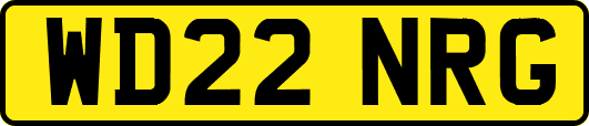 WD22NRG