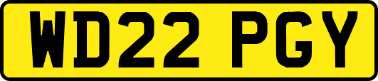 WD22PGY