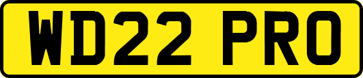 WD22PRO