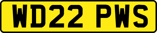 WD22PWS