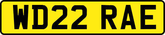 WD22RAE