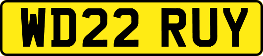 WD22RUY