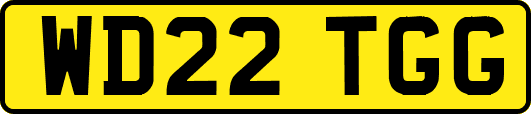 WD22TGG