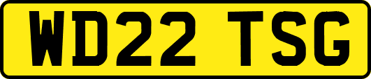 WD22TSG