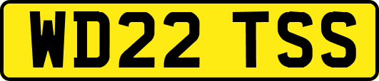 WD22TSS
