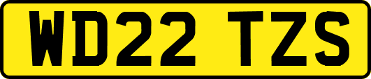 WD22TZS
