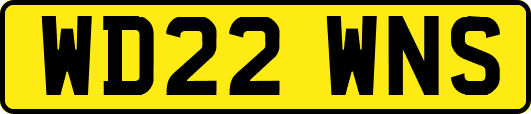 WD22WNS