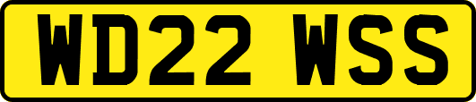WD22WSS