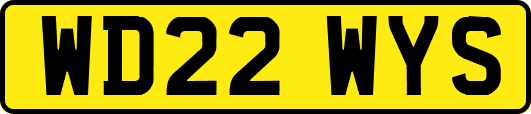 WD22WYS