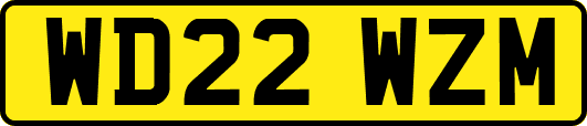 WD22WZM