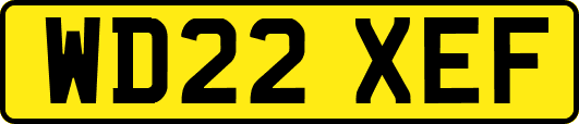 WD22XEF