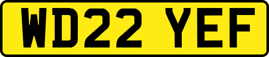 WD22YEF
