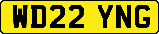 WD22YNG