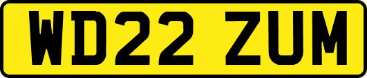 WD22ZUM