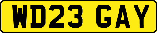 WD23GAY