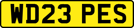 WD23PES