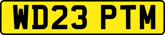 WD23PTM