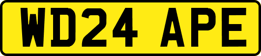 WD24APE
