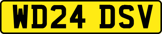 WD24DSV