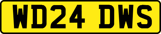 WD24DWS