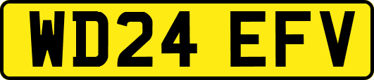 WD24EFV