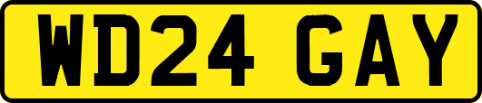 WD24GAY