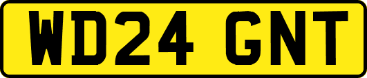 WD24GNT