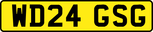 WD24GSG