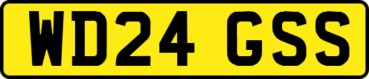 WD24GSS