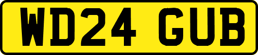 WD24GUB