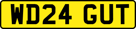 WD24GUT