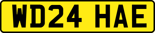 WD24HAE