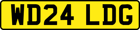 WD24LDG