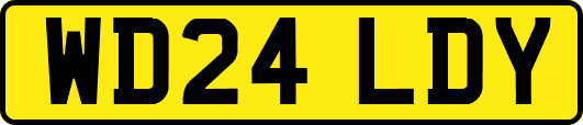 WD24LDY