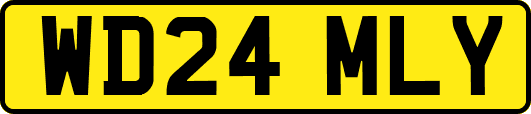 WD24MLY