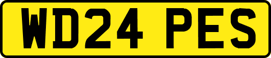 WD24PES