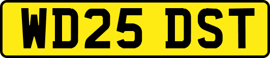 WD25DST