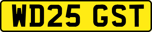 WD25GST