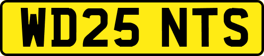WD25NTS
