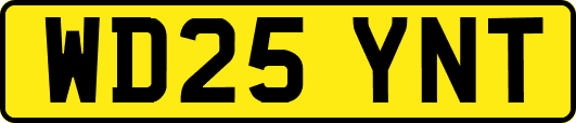 WD25YNT