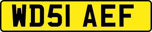 WD51AEF