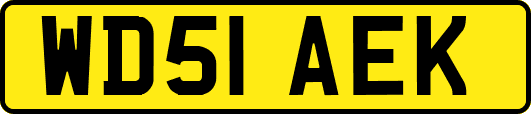 WD51AEK