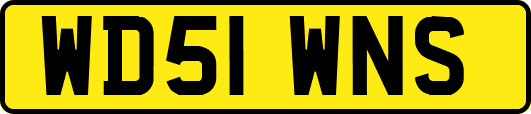 WD51WNS