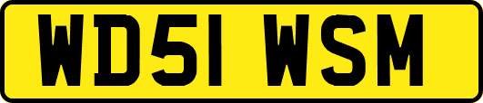 WD51WSM