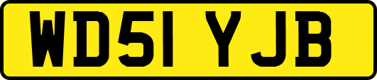 WD51YJB