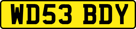 WD53BDY